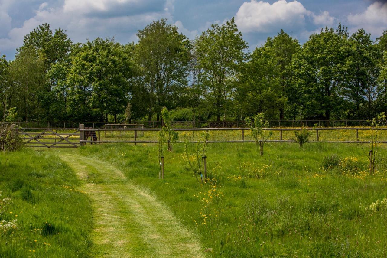 The Cowsheds Villa Brinkworth Exterior foto
